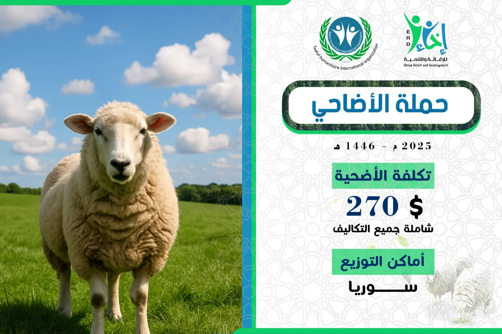 أضحيتك فرحة لهم
