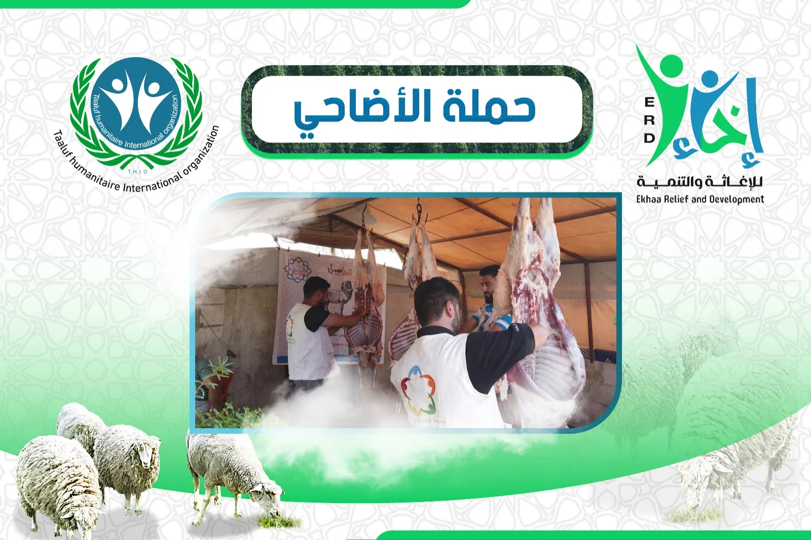 أضحيتك فرحة لهم