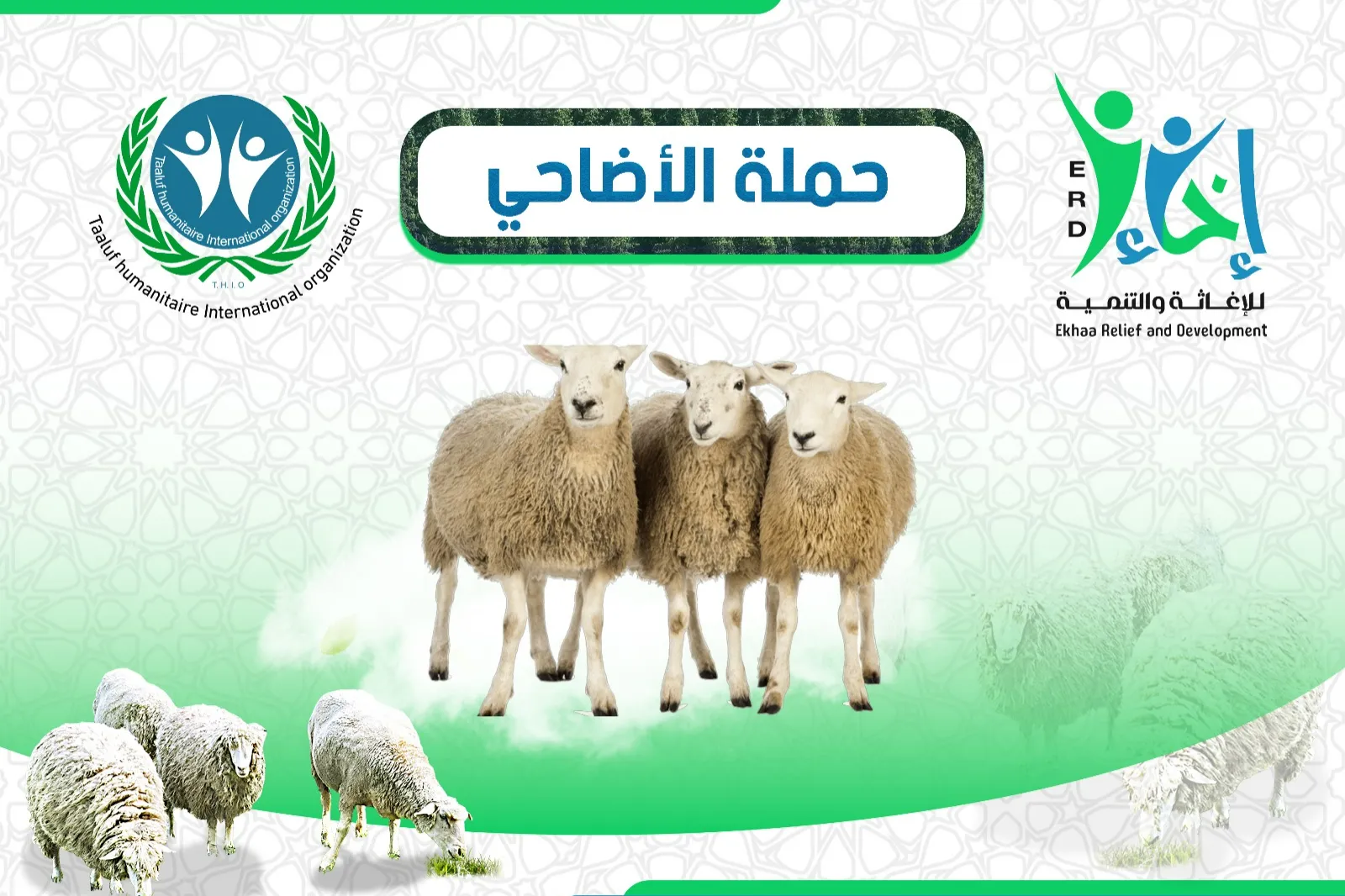 أضحيتك فرحة لهم