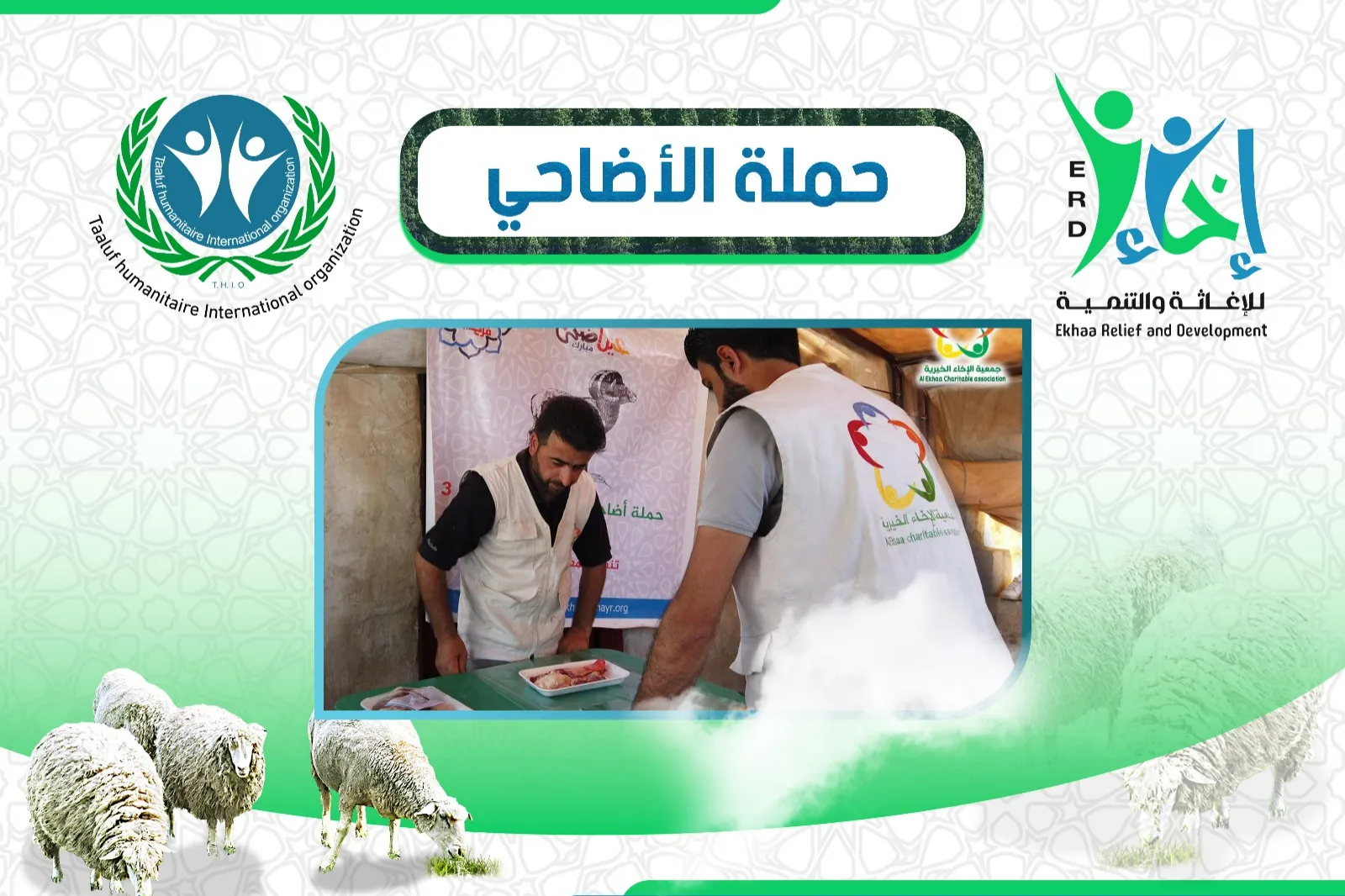 أضحيتك فرحة لهم